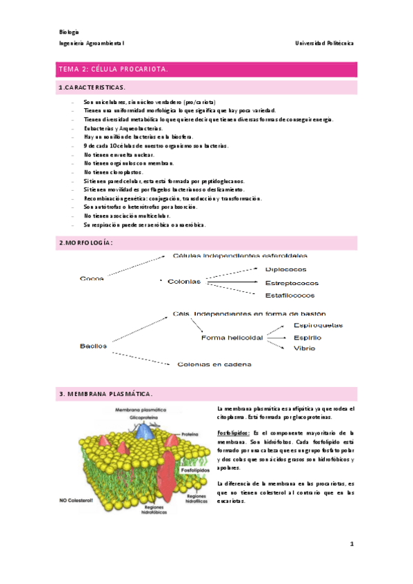 Miniatura del documento Tema-2.-Celula-Procariota..pdf