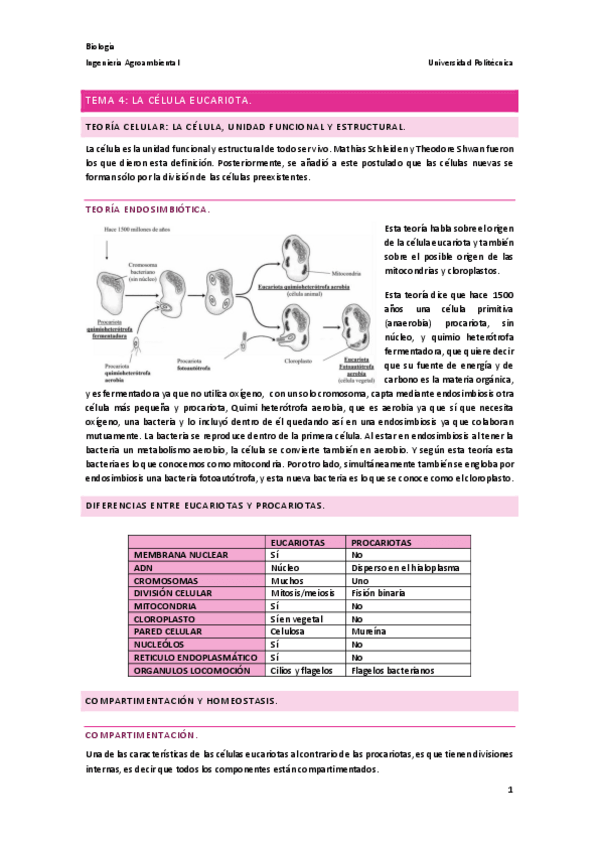 Miniatura del documento Tema-4.-Celula-Eucariota..pdf