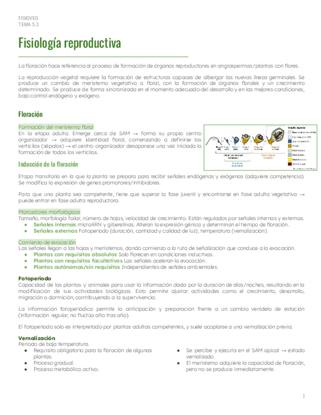 Miniatura del documento PAR2Tema-5.2-Fisiologia-reproductiva.pdf