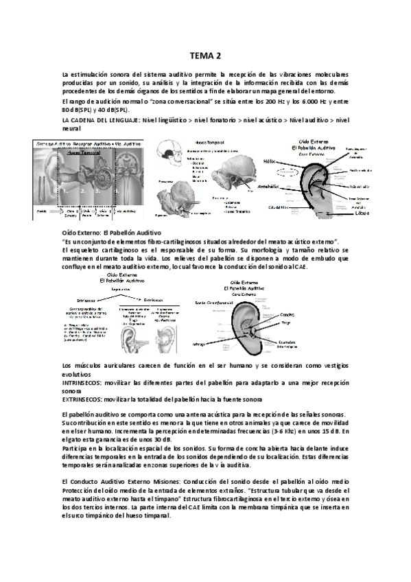 Miniatura del documento apuntes-bases.pdf