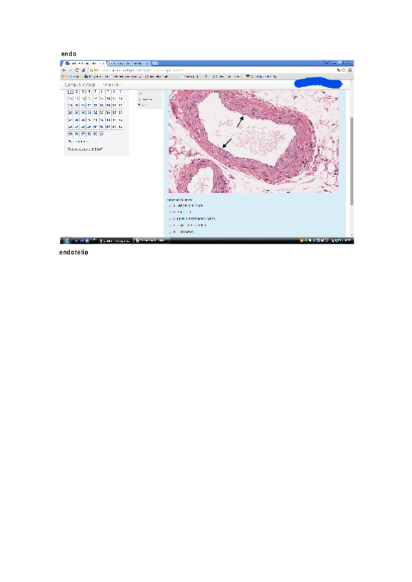 Miniatura del documento Prueba-Histo-General-2020.pdf