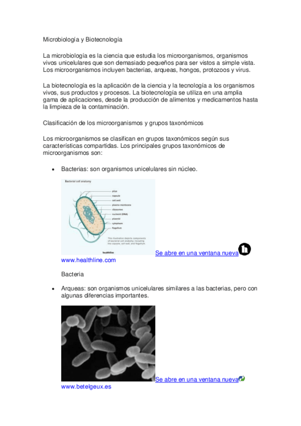 Miniatura del documento Microbiologia-y-Biotecnologia.pdf