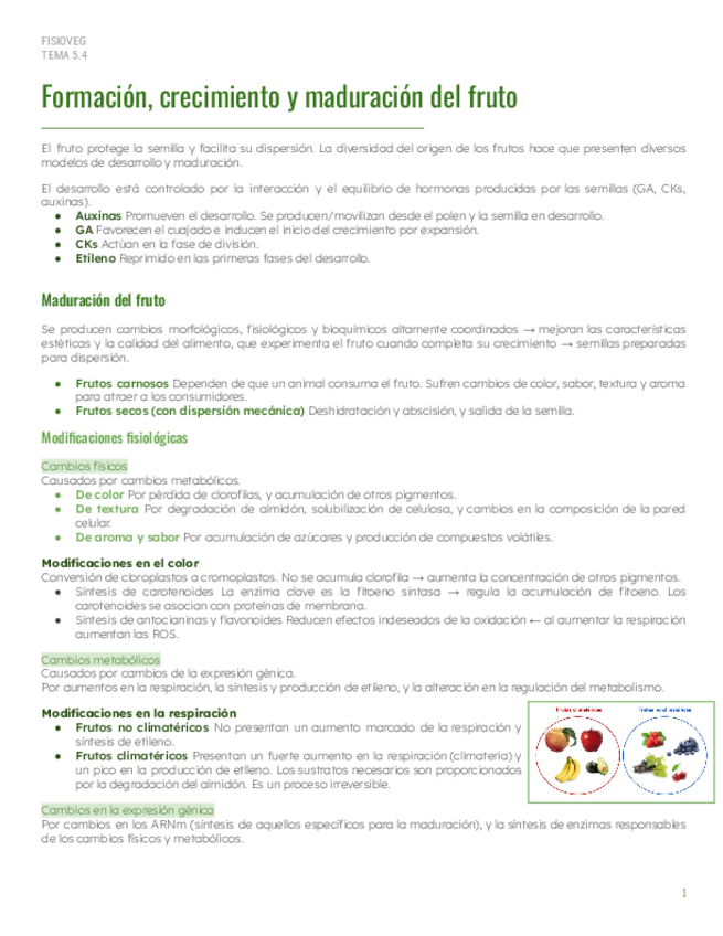 Miniatura del documento PAR2Tema-5.4-Formacion-crecimiento-y-maduracion-del-fruto.pdf