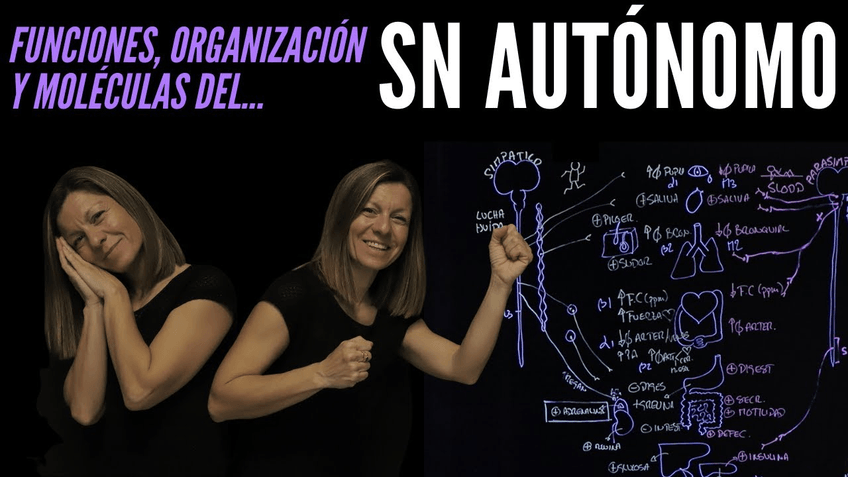 Miniatura del documento https://www.youtube.com/watch?v=jgzAvuiBFHE&ab_channel=LapizarradeNoe