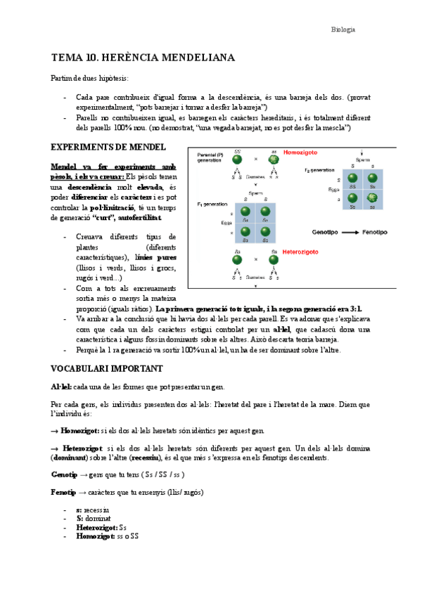 Miniatura del documento Tema-10.-Herencia-mendeliana.pdf