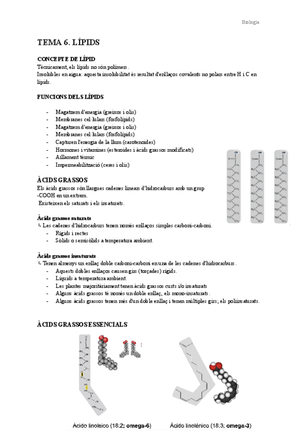 Miniatura del documento Tema-6.-Lipids.pdf