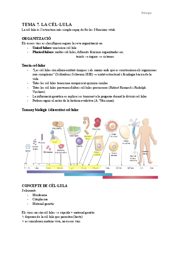 Miniatura del documento Tema-7.-La-cellula.pdf