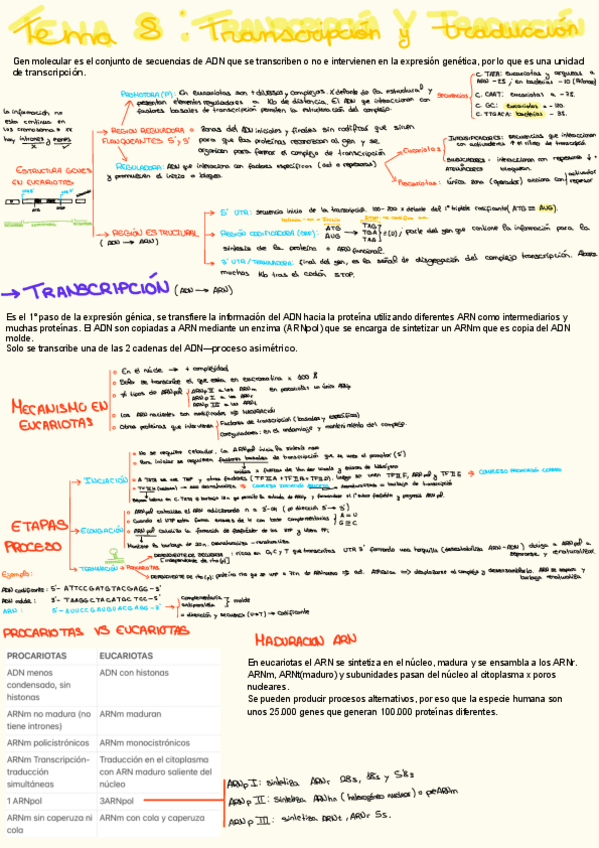 Miniatura del documento Resumen-T8.pdf
