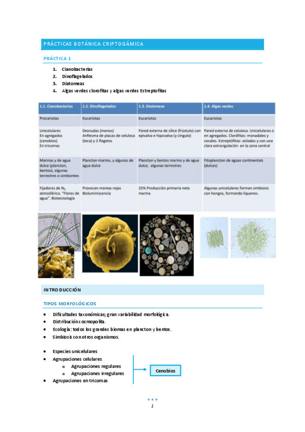Miniatura del documento Practicas.pdf