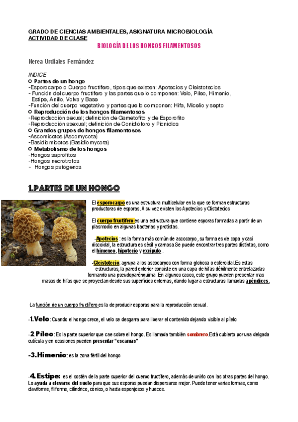 Miniatura del documento Trabajo-hongos.pdf