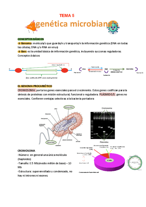 Miniatura del documento Micro-56789.pdf