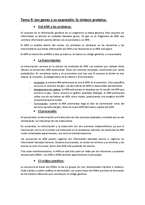 Miniatura del documento Resumen-biología-segundo-parcial-23-24.pdf