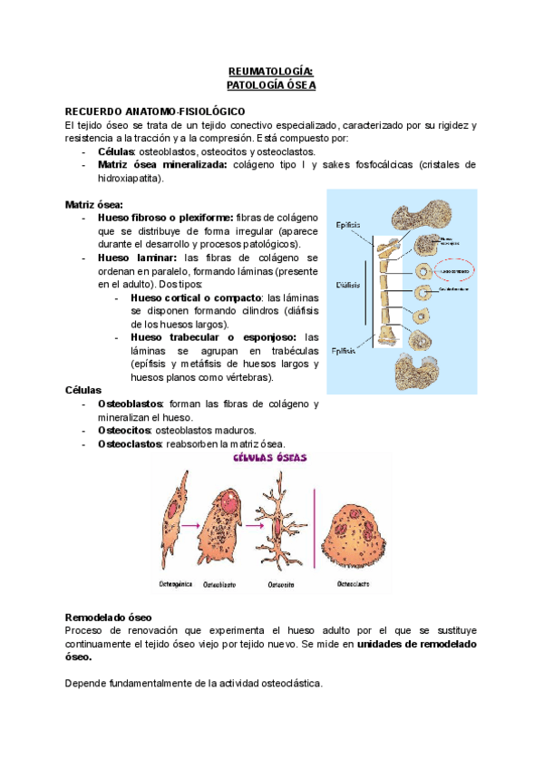 Miniatura del documento REUMATOLOGIA.pdf