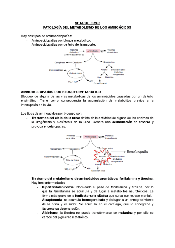 Miniatura del documento METABOLISMO.pdf