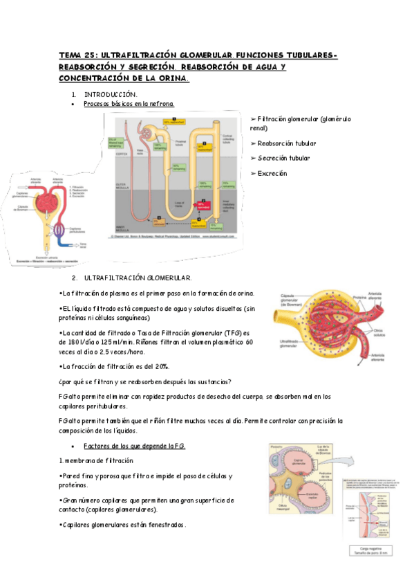 Miniatura del documento TEMA-25FISIOLOGIA.pdf