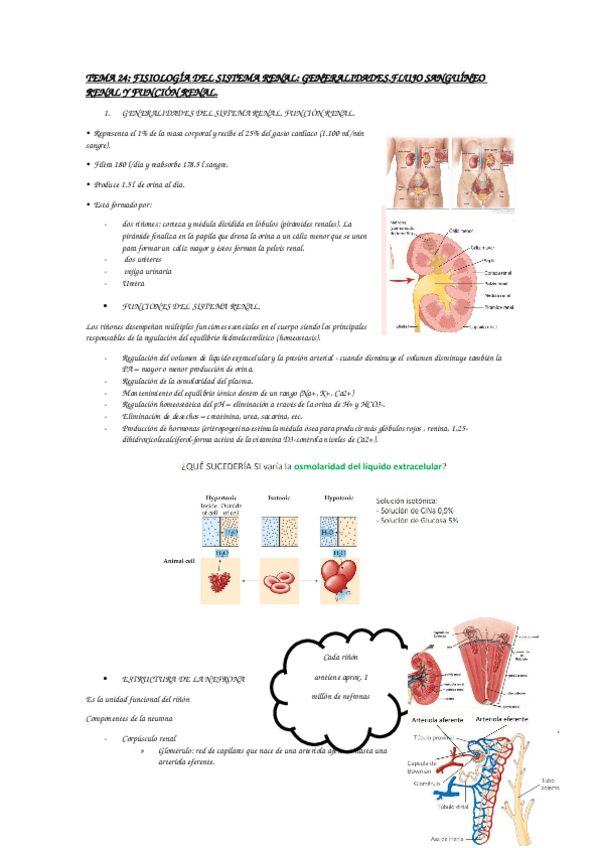 Miniatura del documento tema-24.docx