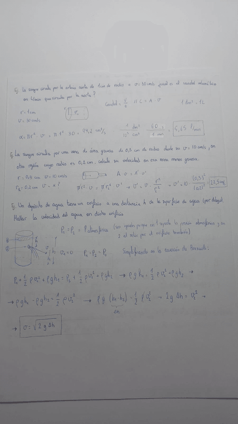 Miniatura del documento 13047.jpeg