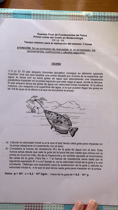 Miniatura del documento 15884.jpeg
