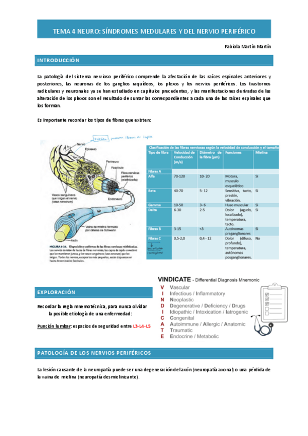 Miniatura del documento Tema-4-Neuro-medula-y-nervio-periferico.pdf