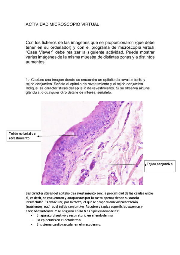 Miniatura del documento Actividad-microscopio-virtual.pdf
