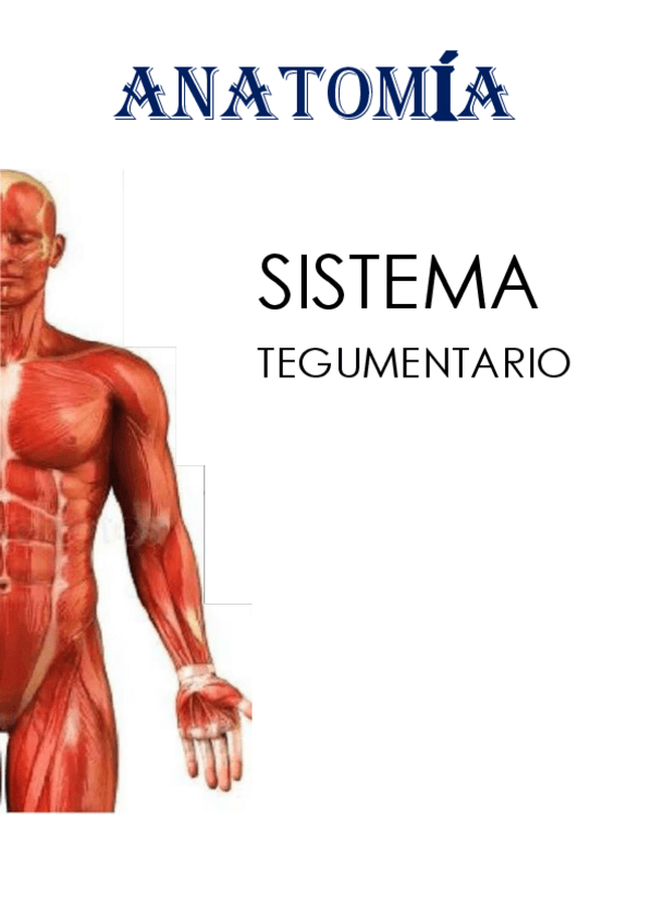 Miniatura del documento TRABAJO SISTEMA TEGUMENTARIO.pdf
