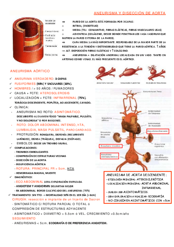 Miniatura del documento ANEURISMA Y DISECCIÓN DE AORTA.pdf