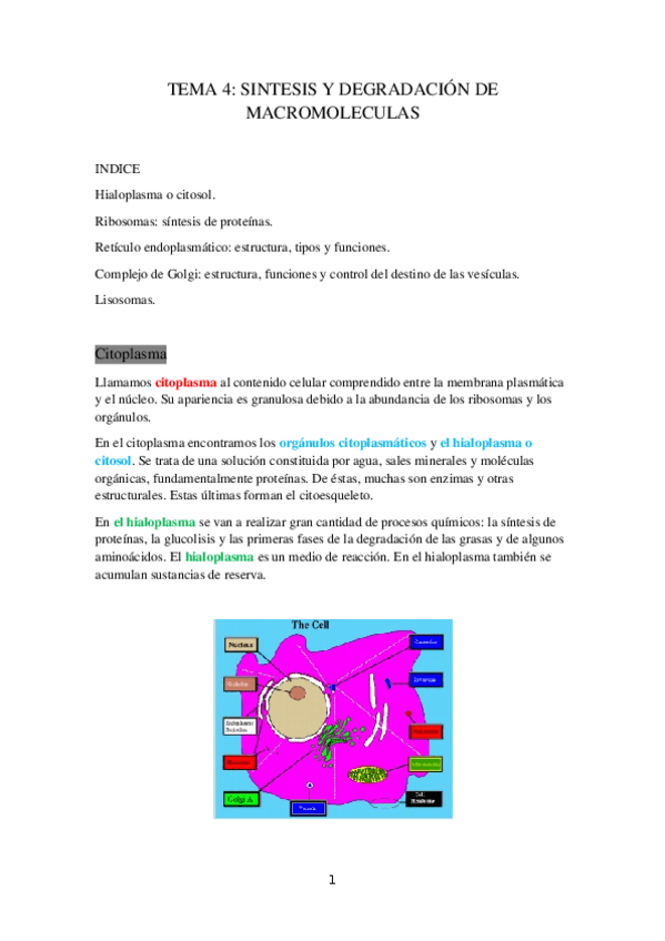 Miniatura del documento TEMA-4.-SINTESIS-Y-DEGRADACION-DE-MACROMOL.docx