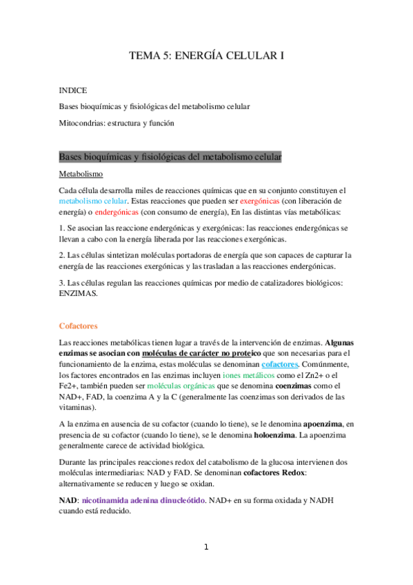 Miniatura del documento TEMA-5-ENERGIA-CELULAR-I.docx