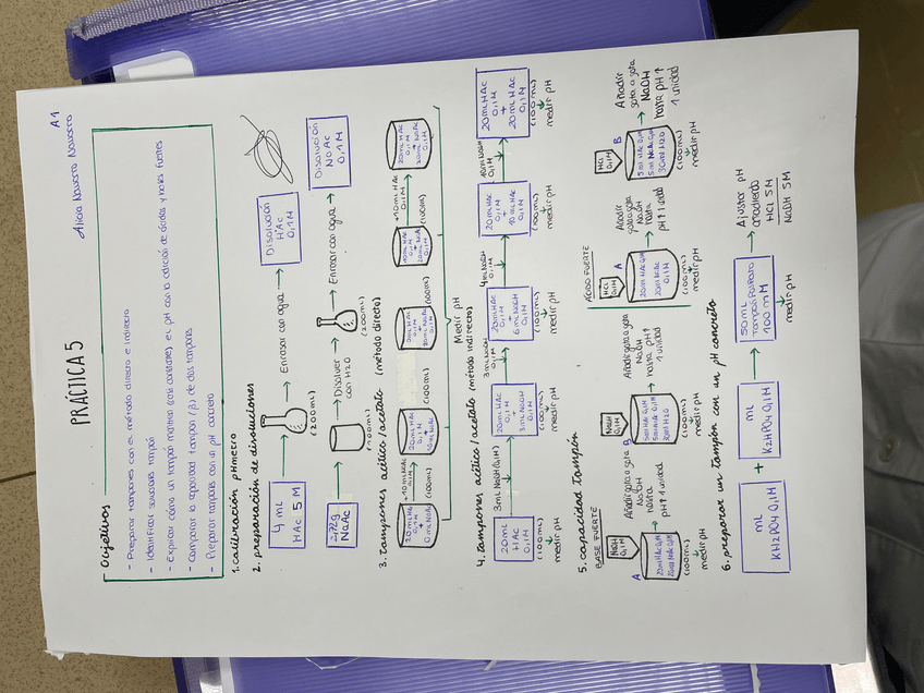 Miniatura del documento Diagrama-de-Flujo-practica-5.jpeg