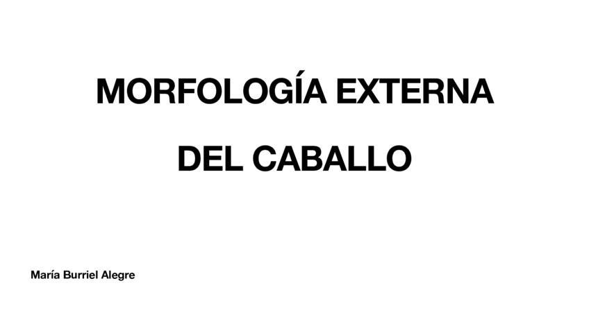 Miniatura del documento Morfologia-externa-del-caballo.pdf