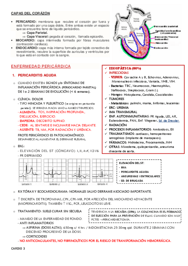 Miniatura del documento enfermedad pericardica - endocarditis , fiebre reumática y HTA.pdf