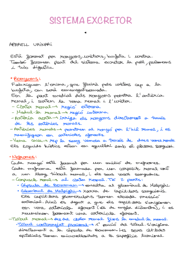 Miniatura del documento Apunts-Tema-10-11-12.pdf