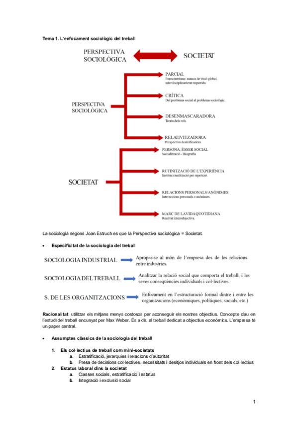 Miniatura del documento Sociologia-del-Treball-Apunts.pdf