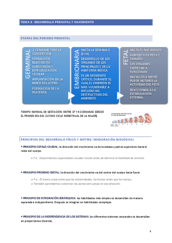 Miniatura del documento TEMA-3-PSICOLOGIA-DEL-DESARROLLO.pdf