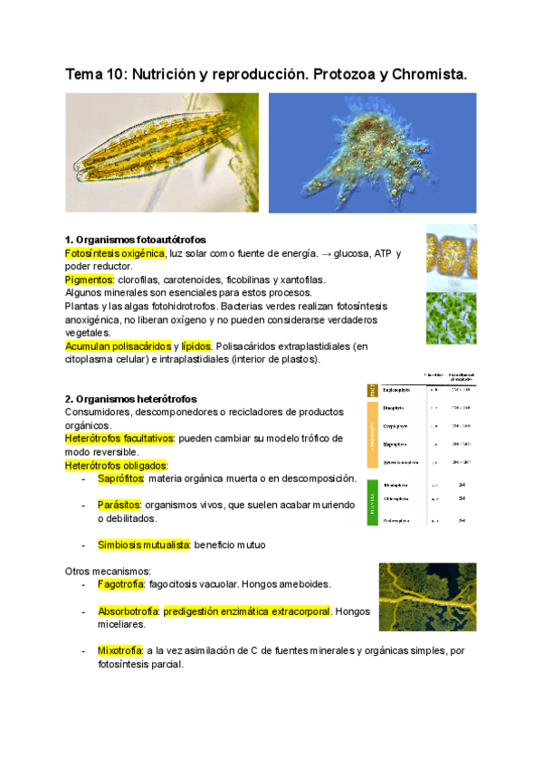 Miniatura del documento Tema-10-Nutricion-y-reproduccion.-Protozoa-y-chromista.pdf