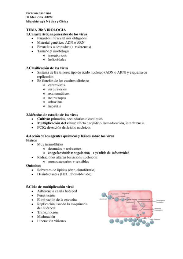 Miniatura del documento RESUMEN-VIRUS.pdf