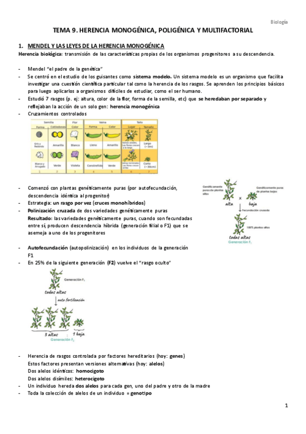 Miniatura del documento TEMA-9.-Herencia-monogenica-poligenica-y-multifactorial.pdf