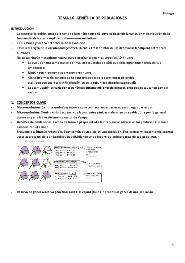 Miniatura del documento TEMA-10.-Genetica-de-poblaciones.pdf