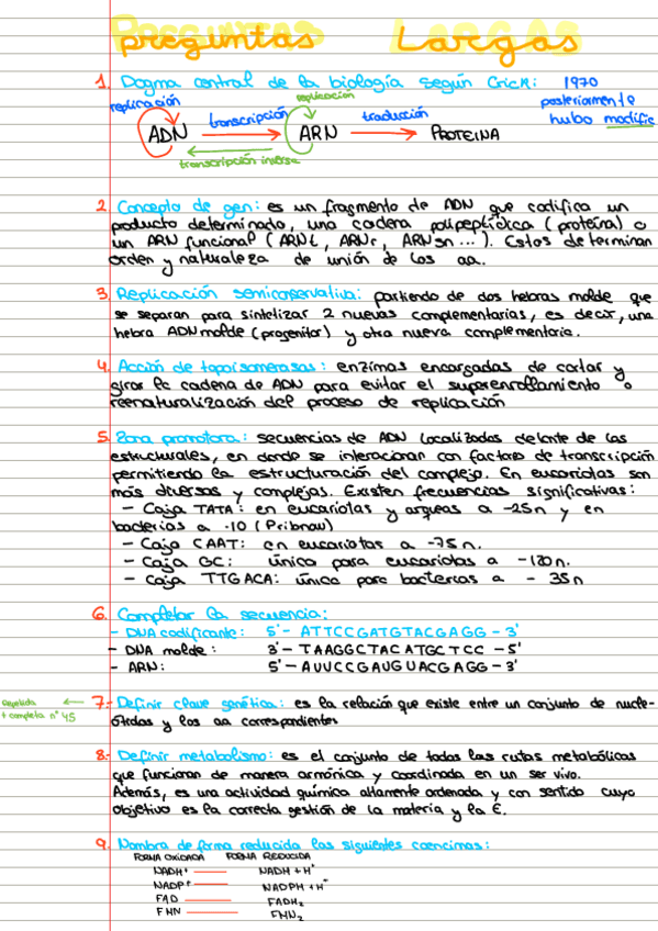 Miniatura del documento Preguntas-largas.pdf