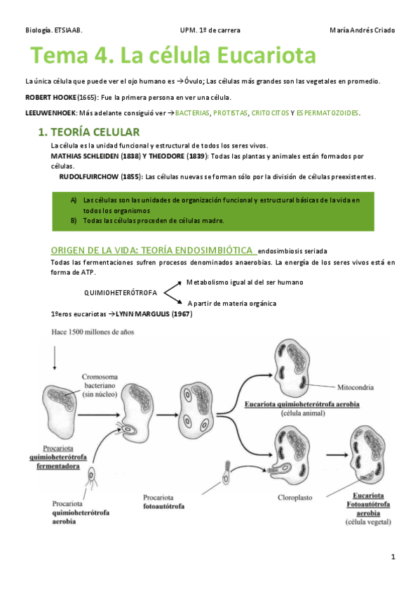 Miniatura del documento Tema-4-La-celula-Eucariota.pdf