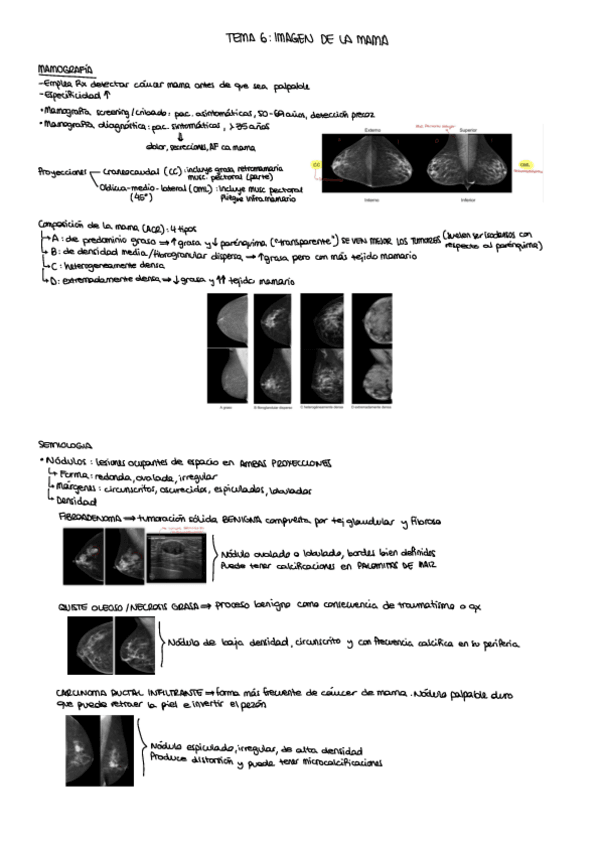 Miniatura del documento Tema 6 - Imagen de la mama.pdf