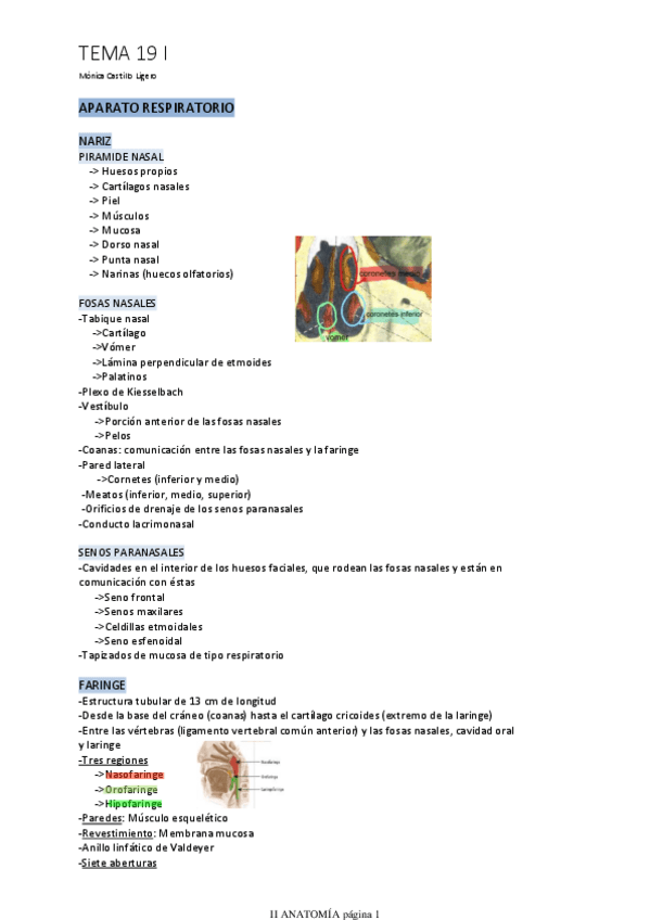 Miniatura del documento TEMA-19-I.pdf