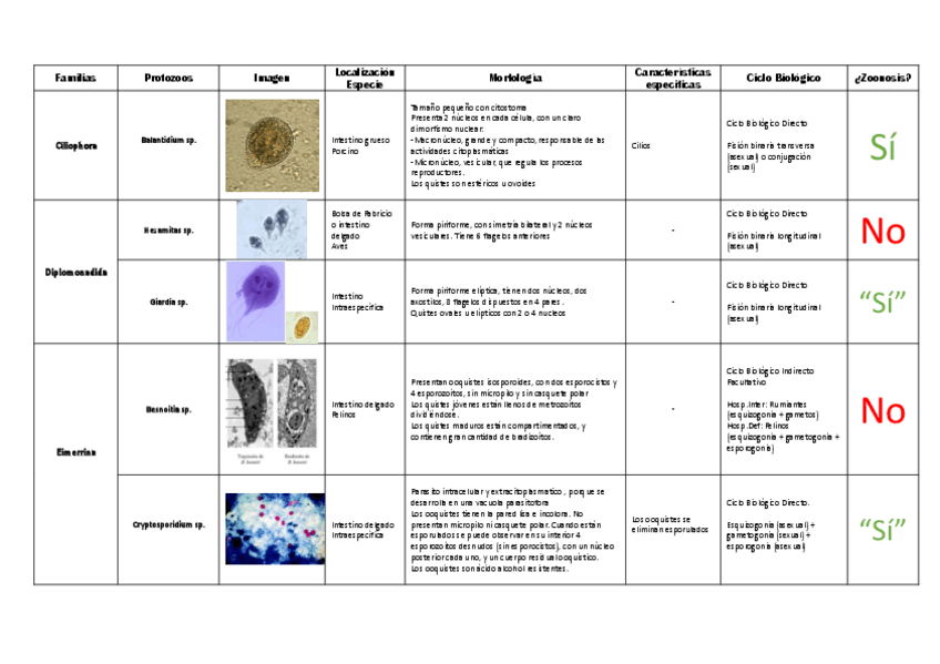 Miniatura del documento Cuaderno-Parasitos.pdf