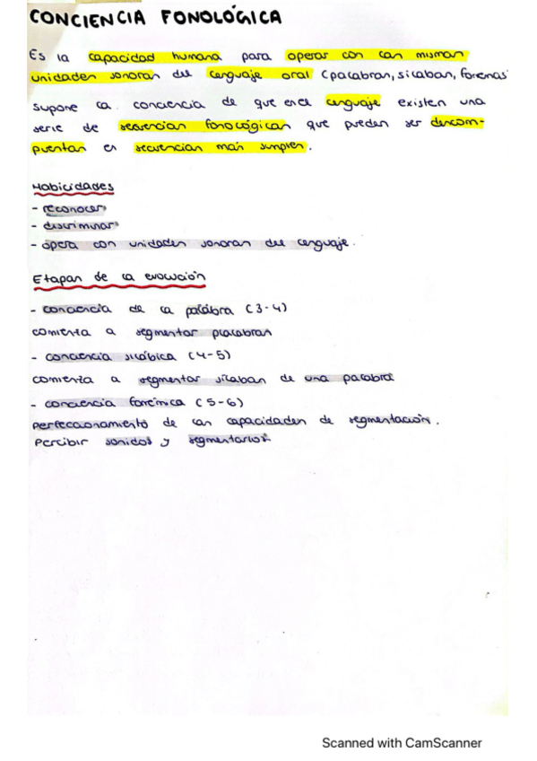 Miniatura del documento conciencia-fonologica.pdf