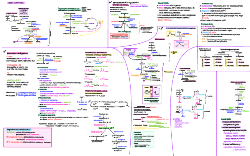 Miniatura del documento 2ndo-parcial-Mapa-conceptual 1.pdf