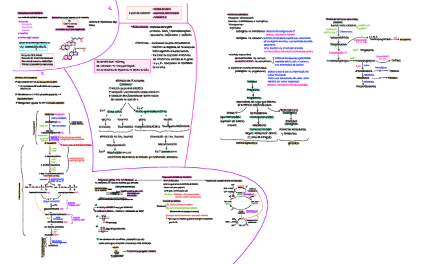 Miniatura del documento 2ndo-parcial-Mapa-conceptual.pdf