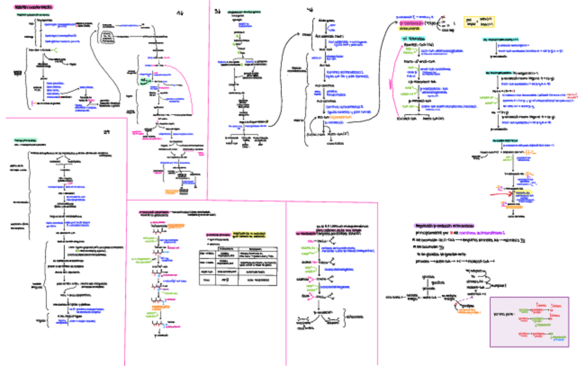 Miniatura del documento 2ndo-parcial-1-Mapa-conceptual.pdf