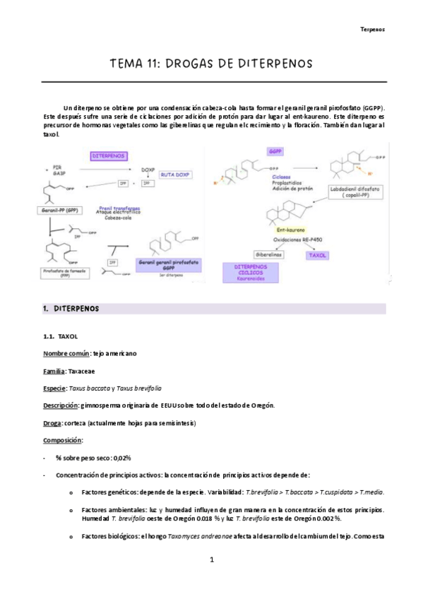 Miniatura del documento Tema-11.pdf