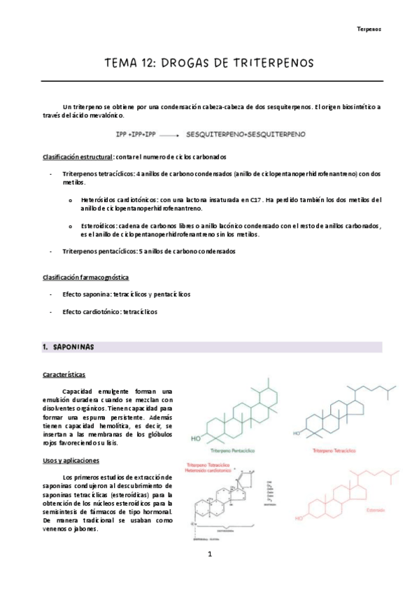 Miniatura del documento Tema-12.pdf