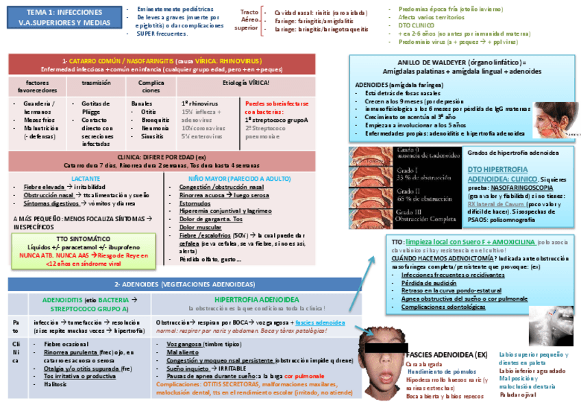Miniatura del documento Tema 1 infeccions VAS.pdf